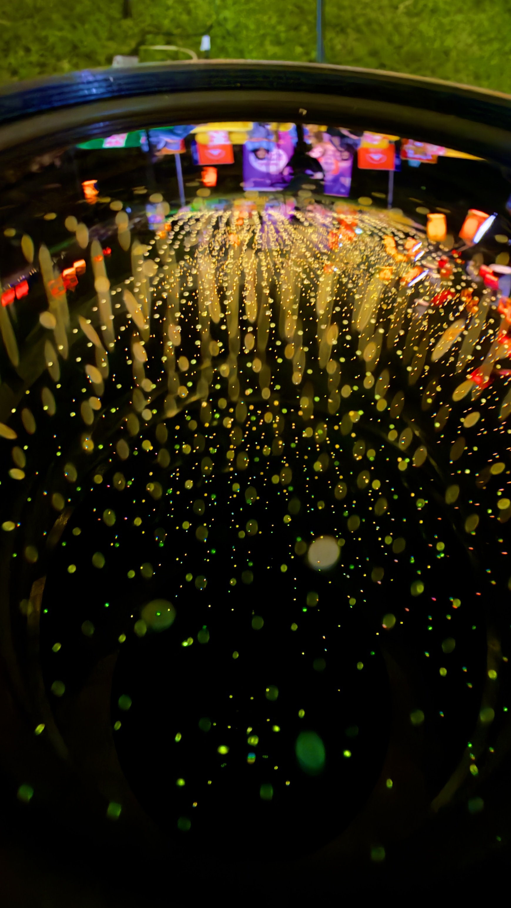 Festival of Lights